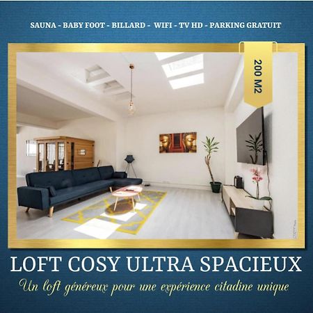 Loft Cosy - Hypercentre - Sauna - 200M2 - Wifi Graulhet エクステリア 写真