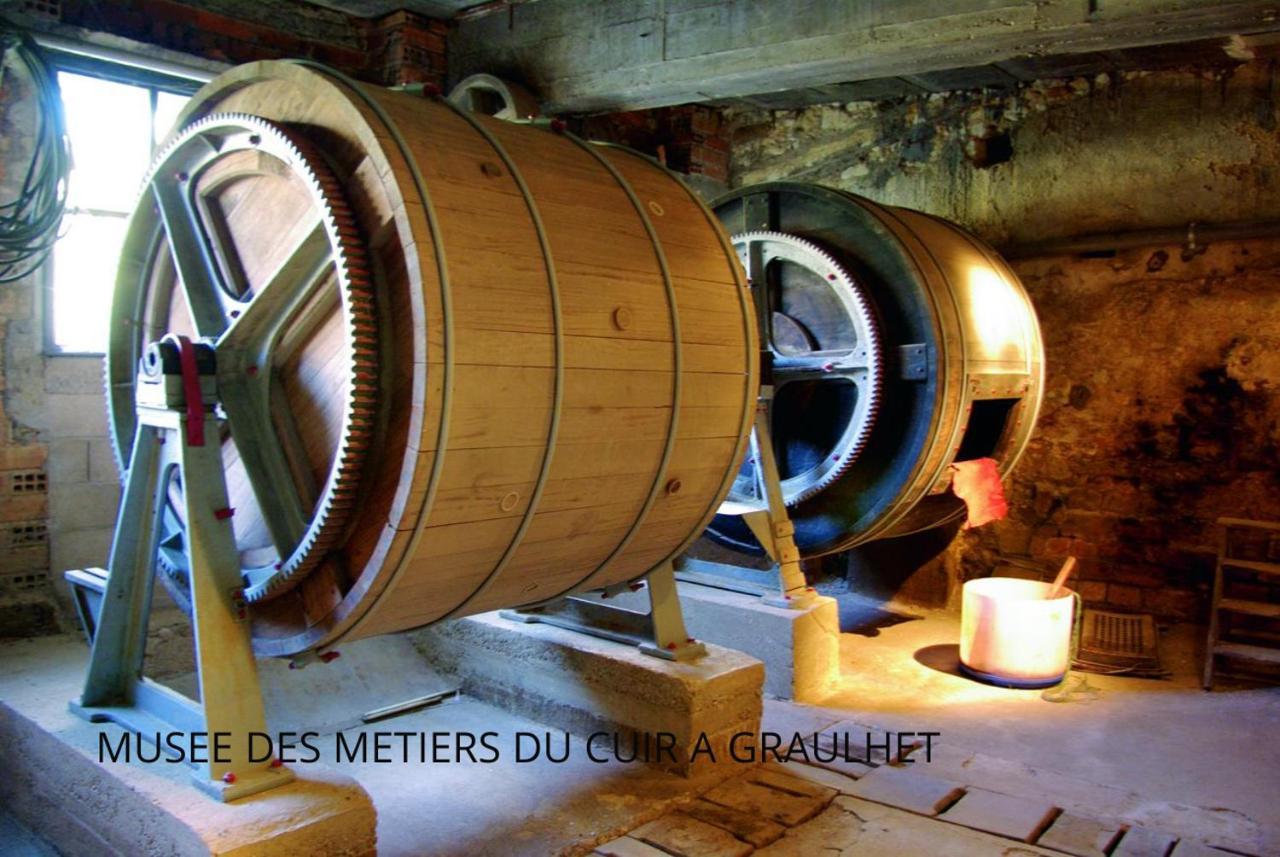 Loft Cosy - Hypercentre - Sauna - 200M2 - Wifi Graulhet エクステリア 写真