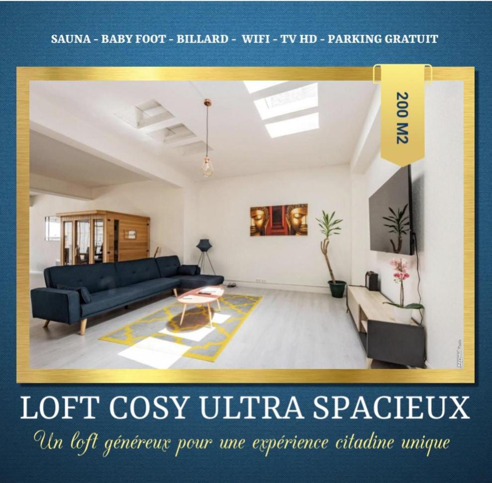 Loft Cosy - Hypercentre - Sauna - 200M2 - Wifi Graulhet エクステリア 写真